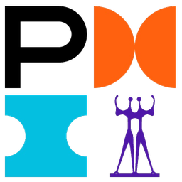 PMI-DF